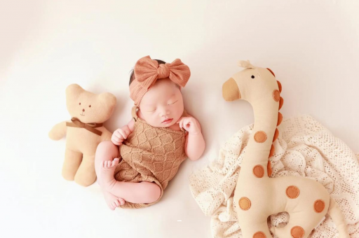 新昌宝宝虾的做法 新昌宝宝虾的做法